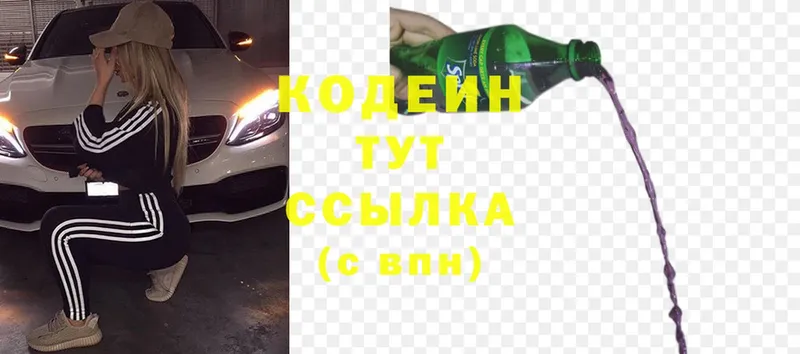 цена   Ершов  Кодеиновый сироп Lean Purple Drank 